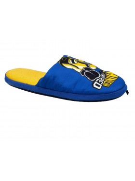 PANTOFOLE DA CAMERA MINIONS...